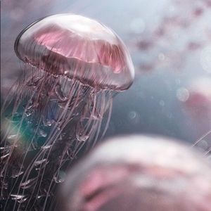 Meet your Posher, Bri